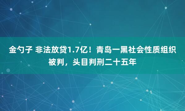金勺子 非法放贷1.7亿!青岛一黑社会性质组织被判,头目判刑二十五年