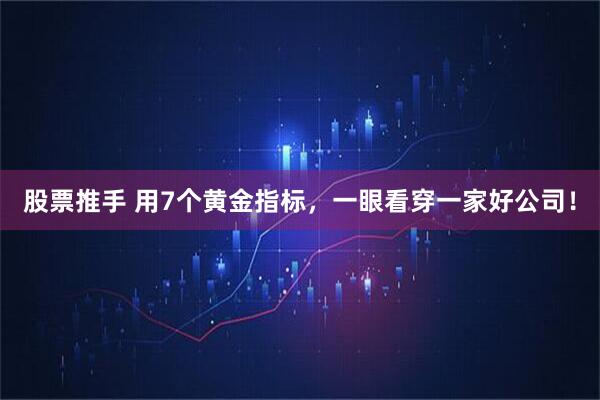 股票推手 用7个黄金指标，一眼看穿一家好公司！