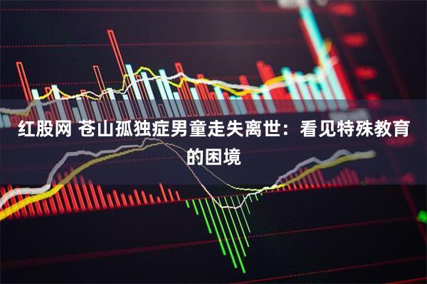 红股网 苍山孤独症男童走失离世：看见特殊教育的困境