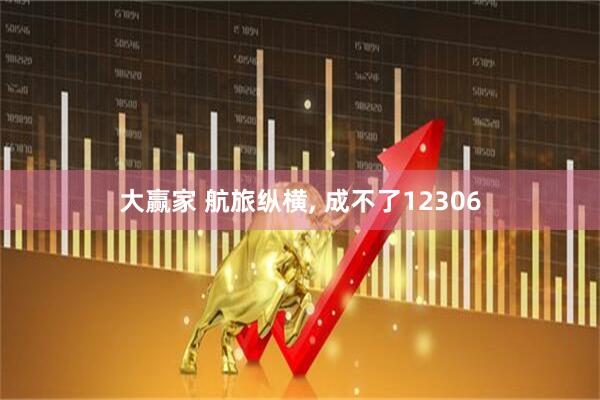 大赢家 航旅纵横, 成不了12306