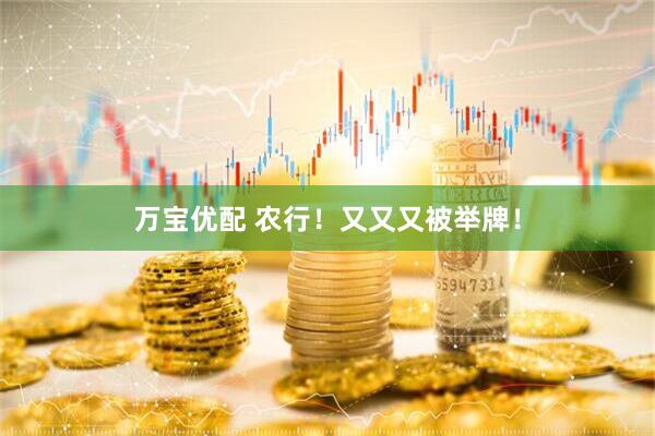 万宝优配 农行！又又又被举牌！